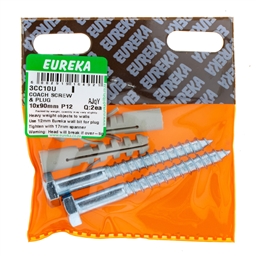 3CC10 - Coach Screw & Plug